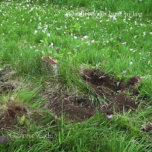 2.2K views · 1.1K reactions | Since 1975, we've specialized in heirloom-quality tools that are well-designed and made to last. Whether you’re a full-time tradesman or weekend handyman, you’ll appreciate the dedication and care that goes into each tool and the satisfaction that comes from creating something with your own hands. You’ll notice the timeless design, attention to detail, and craftsmanship of our tools. | Garrett Wade | Facebook