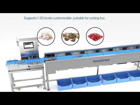 Waterproof Weight Sorter (IP65): Precision Checkweigher for Food Production Lines