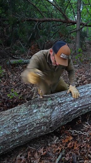170K views · 681 reactions | Moving Some BIG Logs #logs #wood #movinglogs #biglogs | Sow the Land | Facebook