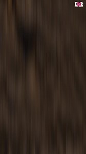 Experience gelato like never before, it is soft, it is creamy and it’ll instantly take you to the streets of Italy! | Baskin-Robbins