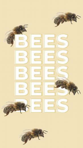 1.9K views · 17 reactions | Get ready to buzz into the new season...