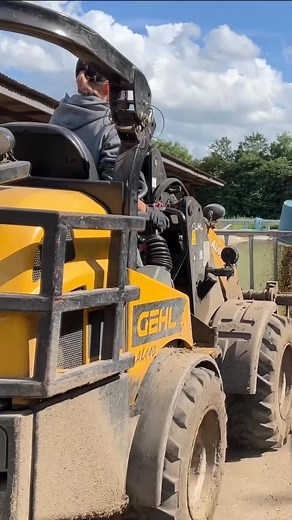 Girl Drive Machine and Care the Calves | Farm Factory