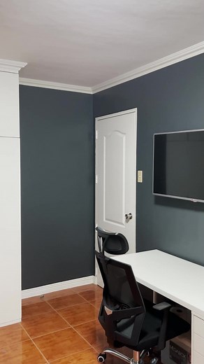 Would you paint your room Charcoal Gray? Color Match: Charcoal Gray ROS-F137 (Walls) Flat White ROS-TOP-901 (Ceiling) Lacquer Topcoat White ASL-1070 (Door, Cabinet, Baseboard, and Cornice) Black AG-1111 (Window) #RainOrShine #ColorfulProtection #interiordesign #bedroommakeover #paint #homebuddies #fyp #foryoupage