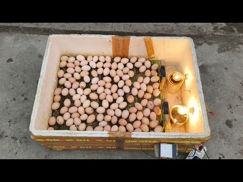 How to make incubator at home // How to make a home incubator simple and easy