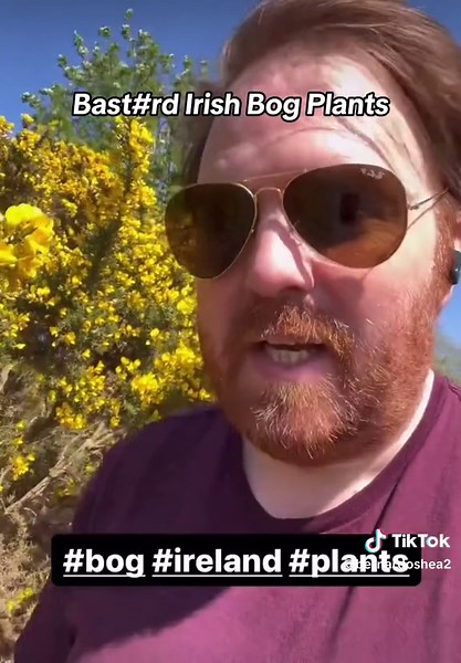 Exploring the Stunning Irish Bog Landscape