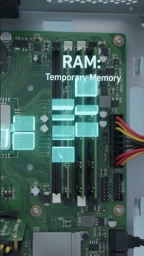 The Three main Part of the Computer System