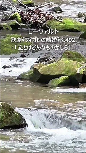 モーツァルト：歌劇《フィガロの結婚》K 492「恋とはどんなものかしら」 #Short
