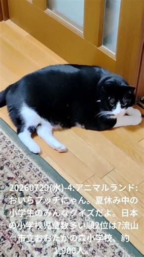 20260729(水)-4:アニマルランド:おいらブッチにゃん。夏休み中の小学生のみんなクイズだよ。日本の小学校児童数多い順2位は?流山市立おおたかの森小学校、約1,900人。
