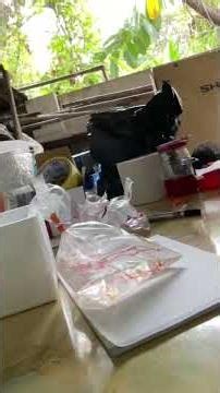 Plastic Bags, Unboxing 12 Goldenback Neocaridina davidi shrimp, 30 Sep 2025