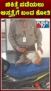 1M views · 10K reactions | ಚಿಕಿತ್ಸೆಗಾಗಿ ಆಸ್ಪತ್ರೆಗೆ ಬಂದ ಕೋತಿ! #Monkey #Health #Bagalkote | Public TV | Facebook