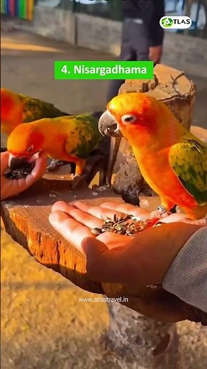 🌿 Top 10 Must-Visit Places in Coorg! 🌿