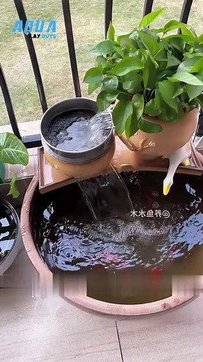 Water Filtration Solutions for Aquariums