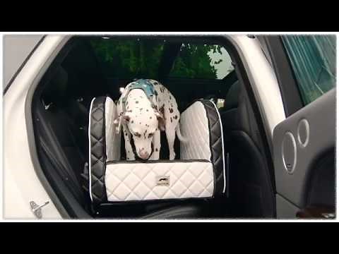 DOGSTYLER® SAFETYBRIDGE Professional - THE SOLUTION for your dog on the backseat
