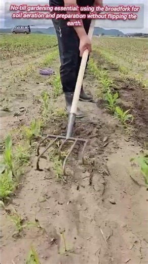 Broadfork Aerating Soil