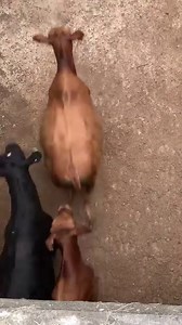 733K views · 45K reactions | Recently, we lost a few followers, but...