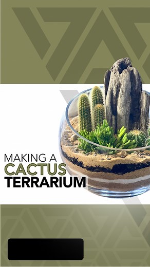 4K views · 150 reactions | Step by step tutorial on how to make a cactus terrarium  #terrarium #terrariumdesign #terrariumlove #terrariumdreams #moss #howto #diy #fyp #terrariumsofinstagram #portland #cactus #succulents #beaverton #pdx #plantshop #local #smallbusiness #plantsplantsplants #plants #plantsmakepeoplehappy #plantsoffacebook | Johnathon Q Swanson | Facebook