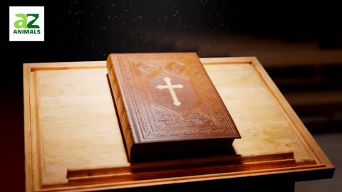 Are Dinosaurs Really Mentioned in the Bible?