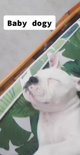 Sophie Gem on TikTok