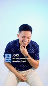 Warning: We got a little emotional announcing this! 😅 JOJO Founder Aquarium Expert #BoxfishAquariums #CustomAquariumsPH #AquariumDesign #AquariumHobby #FromVisionToVessel | Boxfish