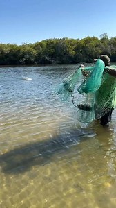 79K views · 1.1K reactions | Buen atarrayaso 4 lisas para la frita #yoamotamiahua #Tamiahua #Veracruz #atarrayar #lisas #pescado | Yo Amo Tamiahua | Facebook