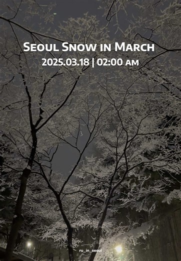 Seoul Snow in March: A Beautiful Winter Scene
