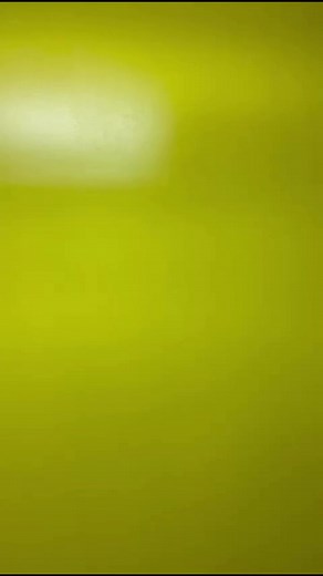 20K views · 390 reactions | Even CBeebies own Dodge the Dog is getting excited now! | Shed Seven | Facebook