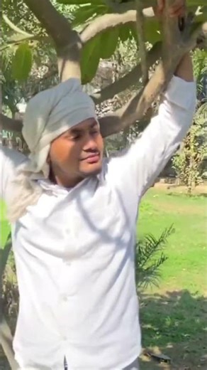 shisham Neeche daal Khat Tere lad ladaunga! Lovekush Toofan boy #shortvideo