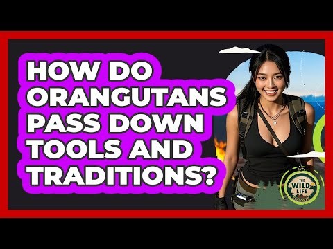 How Do Orangutans Pass Down Tools And Traditions? - The Wild Life Explorer
