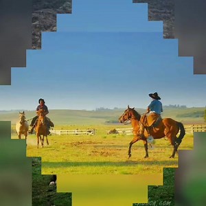 1.7K views · 241 reactions | COBOI + GAÚCHOS | COBOI + | Facebook