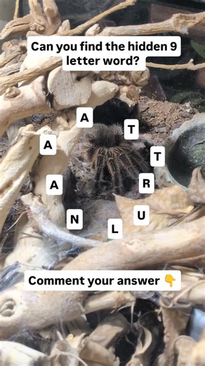 Daily Brain Teasers on Instagram: "Can you unsramble the letters to find the hidden 9 letter word? Follow for new puzzles and games every day! #game #wordgames #braingames #puzzle"