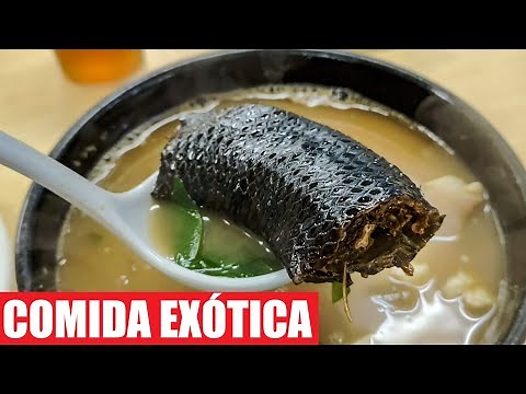 EL MERCADO de COMIDA EXÓTICA más RARO de JAPÓN | Fabio Torres