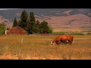 Occam's Grazer: An In-depth Introduction to Holistic Management