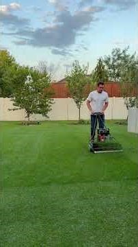 Smooth lawn using sand and a leveling rake #lawncare #diy