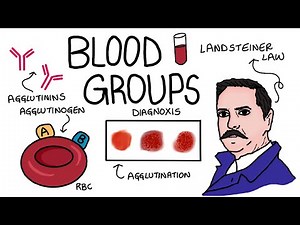 Blood groups- ABO blood grouping