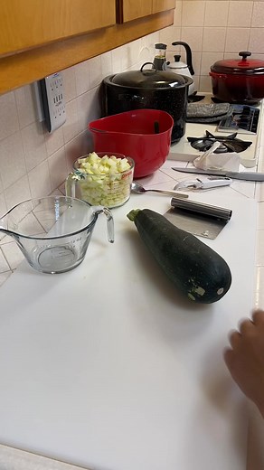 53K views · 519 reactions | #homesteader #homemade #homesteadlife #prepper #beprepared #homesteadingskills #fromscratchcooking #farmlife #urbanfarm #garden #gardening #prepare #growyourownfood #fallgarden #plants #realfood #howto #purposefulliving #homesteadingmama #preservation #canning #dehydrate #diy | Farmer K Homestead | Facebook