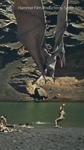 Did Harryhausen let style get in the way of science? 🦕⁠ Ray Harryhausen’s One Million Years B.C. delivers some surprisingly accurate Pteranodons, with wingspans of around seven to eight metres. But not everything is accurate—the feet, for example, aren’t quite right (Pteranodons couldn’t grip anything, let alone a human). Harryhausen admitted this was a stylistic choice rather than a scientific one, but paleontologist Dave Hone remains a fan. For more on dinosaurs in Hollywood: https://www.news