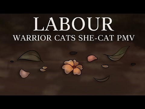 𝐋𝐀𝐁𝐎𝐔𝐑 ✦ 𝐖𝐀𝐑𝐑𝐈𝐎𝐑 𝐂𝐀𝐓𝐒 𝐏𝐌𝐕