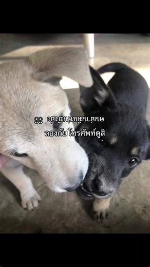 ความรักในยุคดิจิทัล: ความสัมพันธ์และเทคโนโลยี