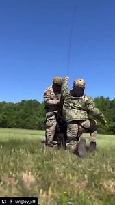 60K views · 2.9K reactions | If ya’ll wanna party like we do… : Langley_K9 on Instagram | Military Working Dogs | Facebook