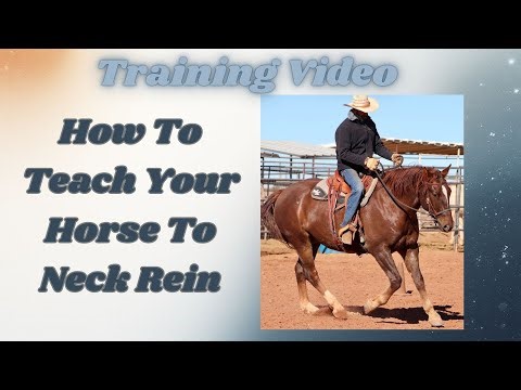 How To Teach Your Horse To Neck Rein