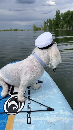 Lisa Schultz (@lisaschultz4)’s videos with Gilligan's Island - Main Theme - Geek Music