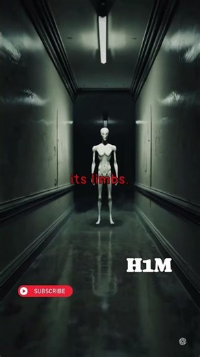 “Glitch in the Camera” – Terrifying Shadow Figure Horror | H1M