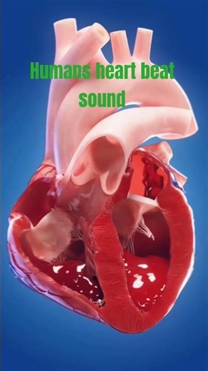 human heart beat sound # short # medical health short # heart beat # life # medical health