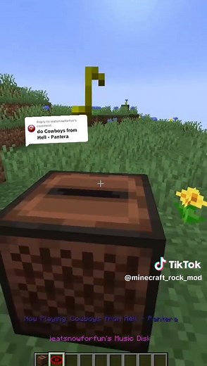Minecraft Rock Mod on TikTok