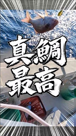 一つテンヤ真鯛釣り最高！