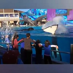 Amazing zoo & it's animals.