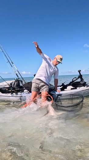 4.6M views · 129K reactions | Always be careful when handling sharks,...