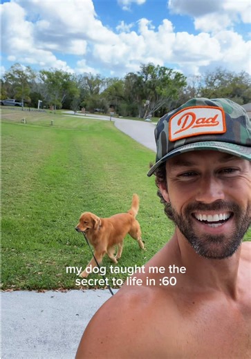 The Power of Alignment in Life