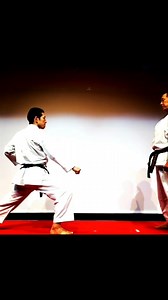 Shotokan Karate Techniques | Karate Science