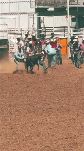 1st place chute dogging